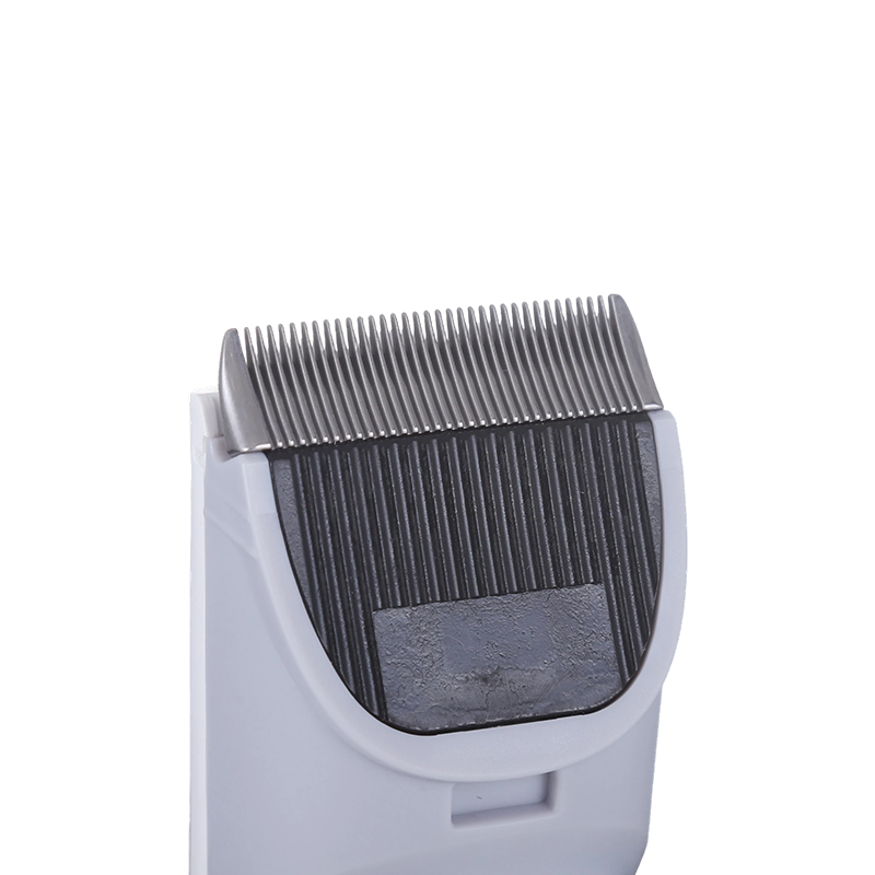 Correa automática personalizada para perros