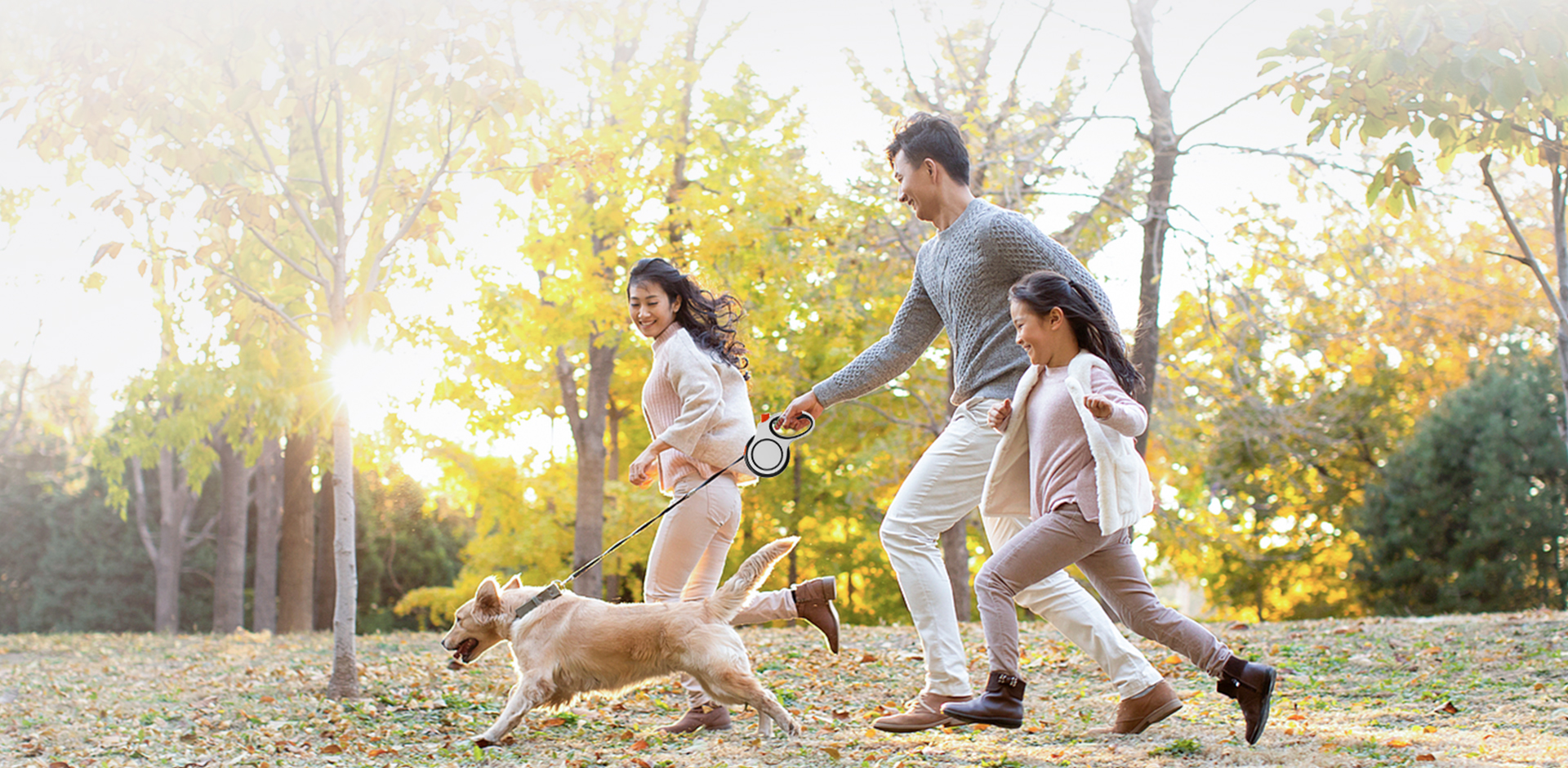 Productos para mascotas Ningbo Meace Co., Ltd.